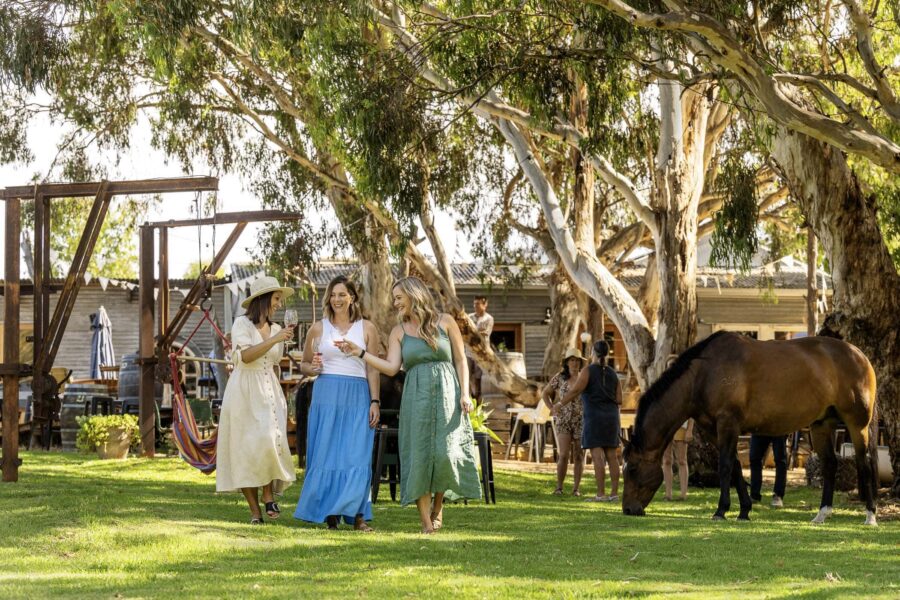 Spirit of the Fleurieu Tours